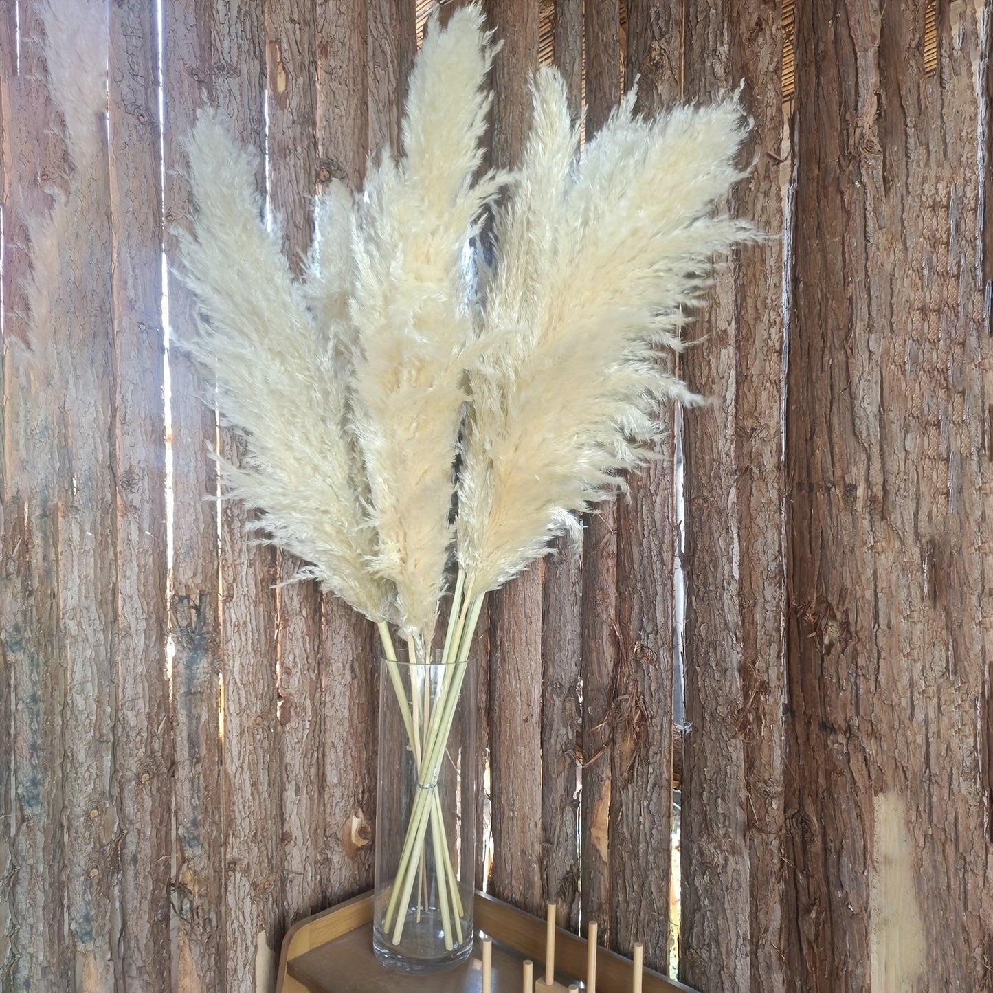 מארז 10 ענפי פמפס 100 ס״מ — פרחים מיובשים רכים ומלאים