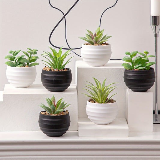 סט 3 סוקולנטים מלאכותיים – קטנים, ריאליסטיים, מחמיאים לכל פינה