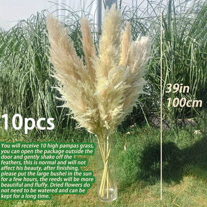 מארז 10 ענפי פמפס 100 ס״מ — פרחים מיובשים רכים ומלאים