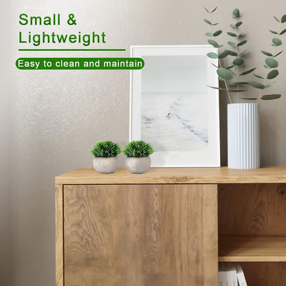 זוג עציצי ירוק מלאכותי בעציצי “בטון” אפור – קטנים, רעננים ותמיד נראים מושלם